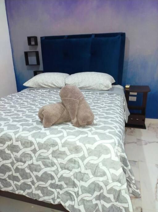 Loft Soliman - Netflix - Hbo - Near Market 28 - Downtown Cancún Exteriör bild